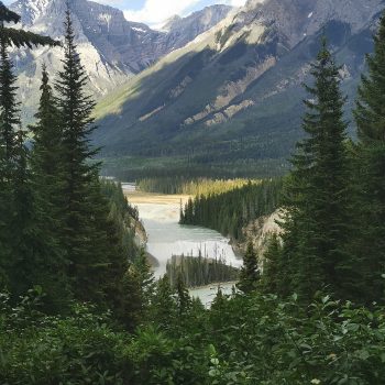 When you get your wife to use Google to find wapta falls and end up at wapta falls campsite. . .you get an amazing view all to yourself!