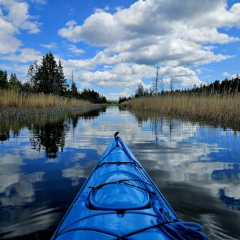 Lake reflection at its best while having a afternoon paddle