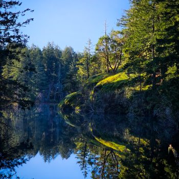 Reflections, I was walking along the trails around Thetis lake and came upon this beautiful serene scene.