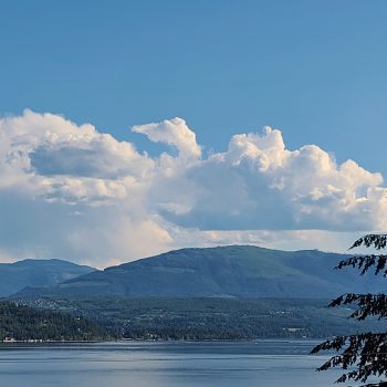 Loon cloud approaching her nest. In the sky over Blind Bay, Shuswap Lake, B.C.