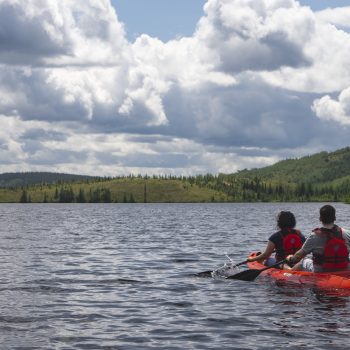 Dans le secteur Arthabaska du parc national des Grands-Jardins, on peut voir l'impact des deux feux successifs qui ont eu lieu dans les années 90; les traces laissées par leur passage sont bien visi ...