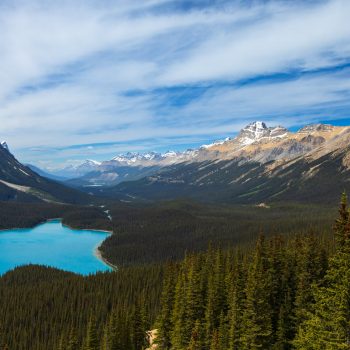 Image of deep blue Peyto Lake and surrounding Waputik Range.