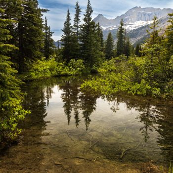 Water reflections, at Bow Lake watershed. The water was still, protected and clear.