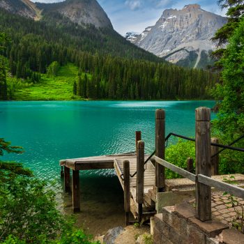 Dock at Emerald Lake, Yoho National Park.

A celebration of green tones and shades.