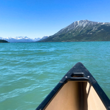 Bennet Lake, Carcross YT. Photo taken from the canoe! June 2024.