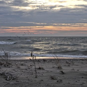 Lake Erie Shoreline at Dawn, lake access off of the South Point Trail East, beside the grasslands and oak Savannah, taken in late March, 2024.