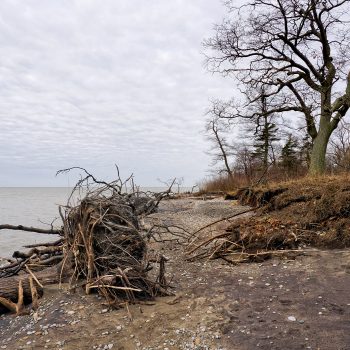 Lake Erie shoreline off of the South Point East Trail where the grasslands end and the black oak savannah begins. Photo taken in April, 2024 during a rain storm.