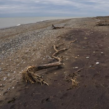 Lake Erie Shoreline in Rondeau Provincial Park near the South Point Trail East, beside the grasslands. Photo taken in April, 2024.