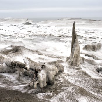 Lake Erie Shoreline, Rondeau Provincial Park off of the South Point Trail East, beside the black oak savannah, a few days after a snow storm. Photo taken in January, 2024.