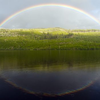 A rainy day at the lake celebrating my son's birthday (can barely see them fishing on the other side of the lake in this wide angle shot). But my patience paid off with this fleeting moment of beauty.