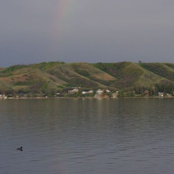 Loon on Katepwa Lake in the Qu'Appelle Valley of Saskatchewan.