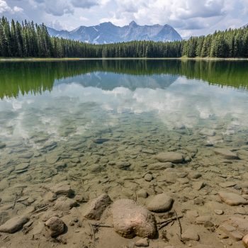 The distinct ecological conditions of these lakes with bottom sediments that contain a mixture of clay and carbonate minerals support unique flora and fauna.