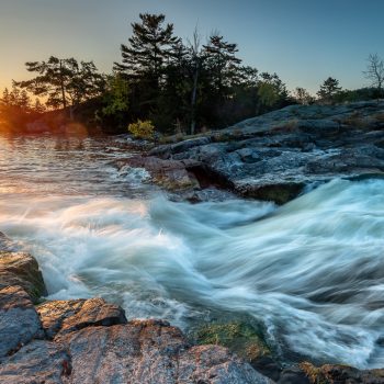 Warm rays of the morning sun highlighting the important ecological function of flowing water habitat that helps maintain lake biodiversity.