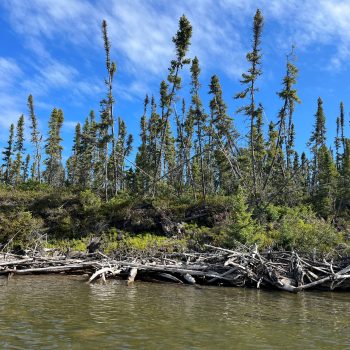 Searching through the debris to find a spot to get to shore. This is one example of how shorelines on this lake have eroded away due to fluctuating water levels caused by hydroelectric activities.