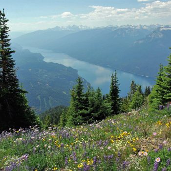 Slocan Lake provides a beautiful backdrop below as wildflowers blaze on the mountainside along the Idaho Peaks Trail. I think this is one of the most spectacular, relatively accessible sights in Briti ...