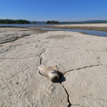 In 2024, snowfall was below average in the Lake Kénogami watershed (influence of climate change?). In mid-June the lake level was still very low, in several places we could see the lake bed and sever ...