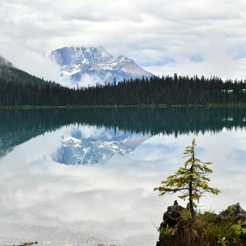 Photo taken from the north shore of Emerald Lake.The small tree in the foreground and the reflection of the mountain attracted my attention.

Photo prise à partir de la rive nord du lac Emeraude. L ...