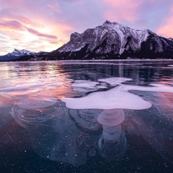 Abraham Lake showing methane bubbles.